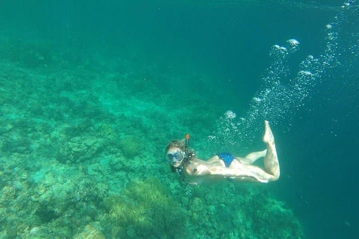 Sepanggar-Island-Snorkeling-and-Leisure-Diving-from-Kota-Kinabalu photo 3