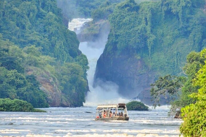 12-Day Gorillas, Chimps Trekking & Wildlife Budget Safari in Uganda photo 6