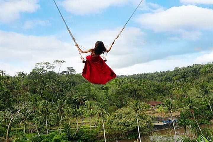 Ubud Jungle Swing Bali Tour: Photo Spots, Safety Tips & Local Insights photo 2