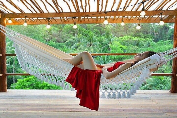 Ubud Jungle Swing Bali Tour: Photo Spots, Safety Tips & Local Insights photo 4