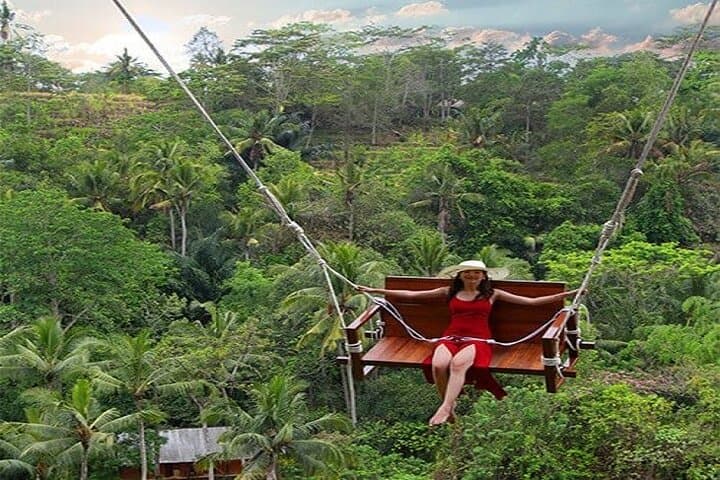 Ubud Jungle Swing Bali Tour: Photo Spots, Safety Tips & Local Insights