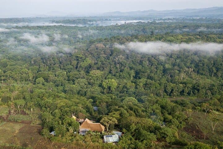 Uganda Primate Safari: 10-Day Chimp & Gorilla Trekking Adventure photo 2