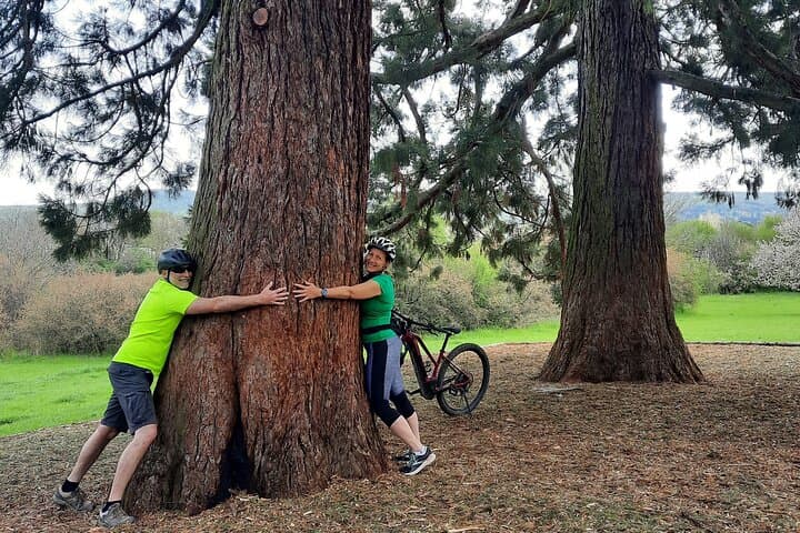 E‑Bike Through Buda Hills: From Mammoth Pines to János Hill Lookout photo 3