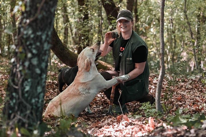 Truffle Hunting & Cooking Tour in Motovun — Istria Truffle Experience photo 1