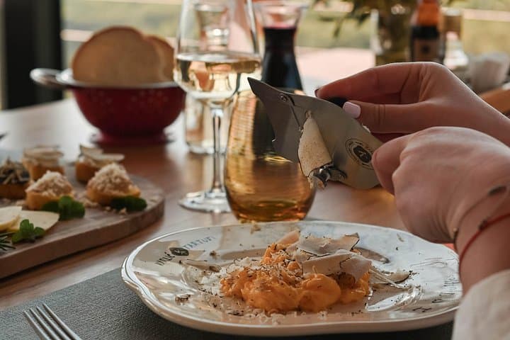 Truffle Hunting & Cooking Tour in Motovun — Istria Truffle Experience photo 2