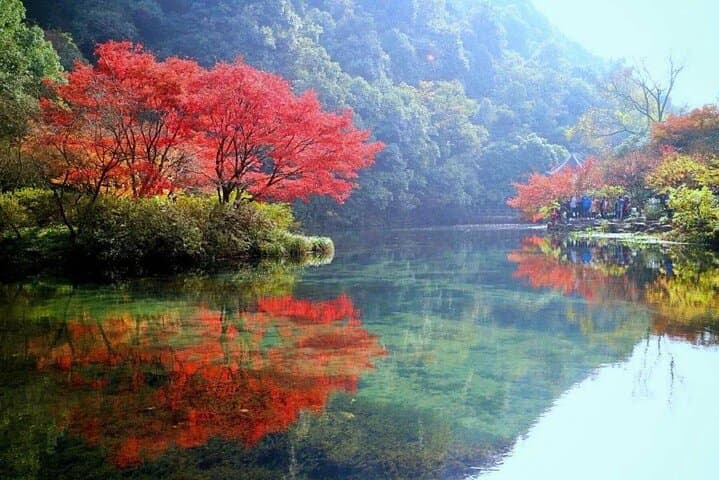 Half-Day Jiuxi Stream Walk and Longjing Tea Plantation Experience in Hangzhou photo 2