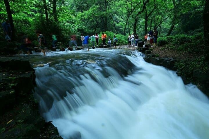 Half-Day Jiuxi Stream Walk and Longjing Tea Plantation Experience in Hangzhou photo 1