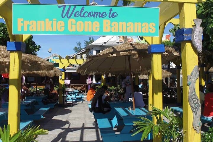 Nassau Arawak Cay Fish Fry Transfer — Round-Trip Pickup Guide photo 2