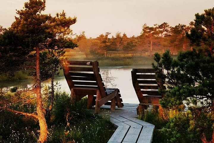 Kemeri Bog Boardwalk: Guided Bog Walk, Birding & Mineral Springs near Jurmala photo 2