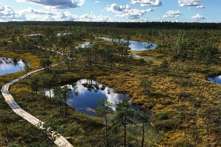 Kemeri Bog Boardwalk: Guided Bog Walk, Birding & Mineral Springs near Jurmala photo 3