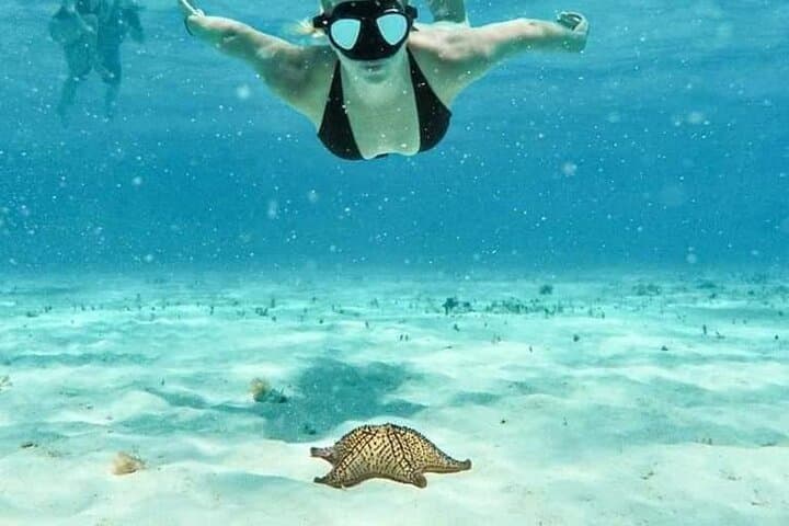 Cozumel 4-Hour El Cielo Snorkel and Reef Boat Tour