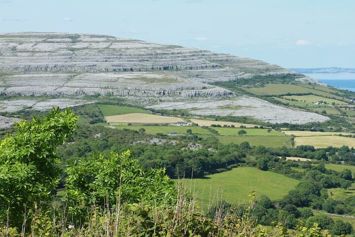 From Galway: Private Burren & Cliffs of Moher Day Tour photo 4