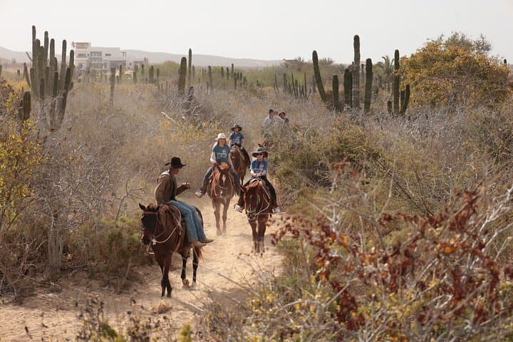 Pacific Coastal Horseback Riding Tour in Cabo San Lucas — Ocean Cliffs & Desert Trails photo 1