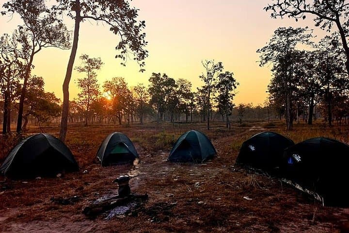 3-Day Xe Champhone & Eld’s Deer Sanctuary Private Tour — Homestay, Wetlands & Wildlife photo 4