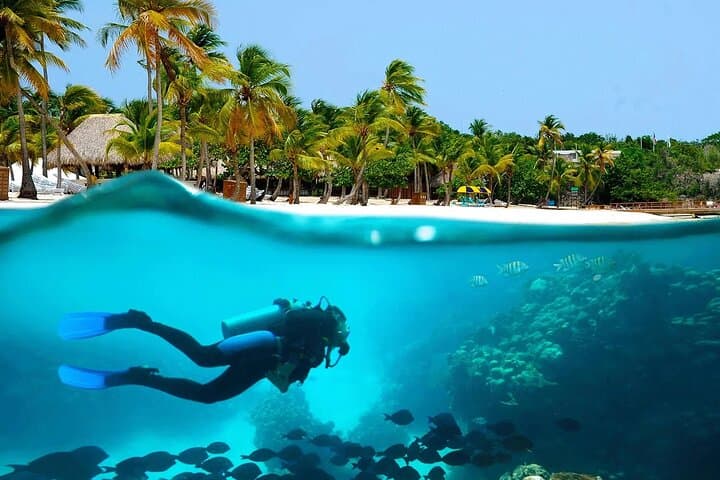 Catalina Island Snorkel & Catamaran Day Trip from Punta Cana photo 5