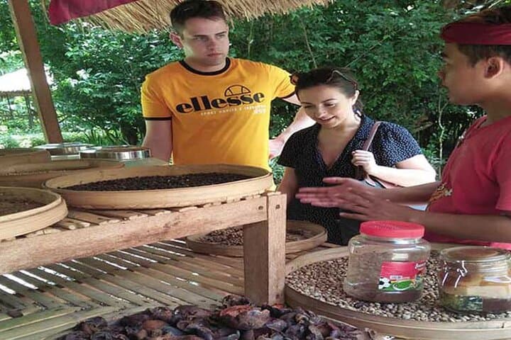 Full-Day Ayung River Rafting and Kintamani Volcano Tour with Tegallalang & Coffee Tasting photo 4