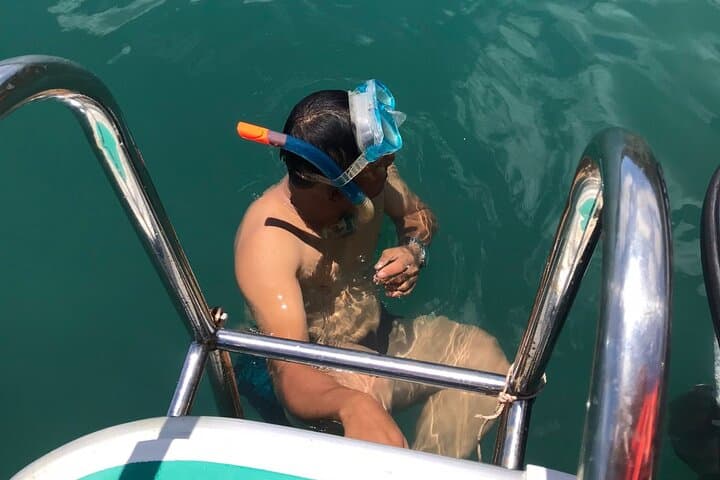 Full-Day Diving & Snorkeling at Cham Islands — Tiger Fish Divers (Hoi An)