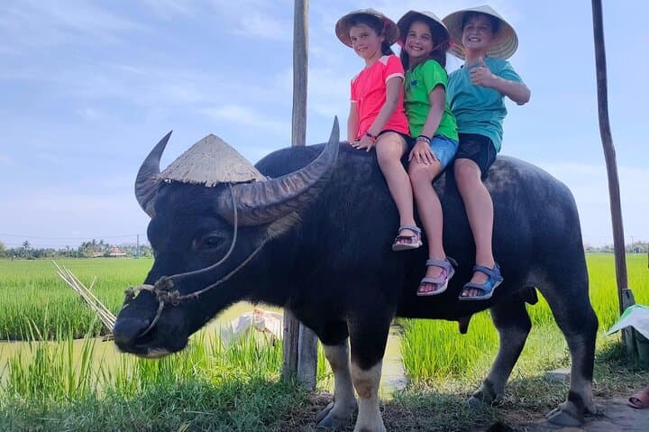 Hoi An Countryside Cycling: Buffalo Ride & Basket Boat Experience