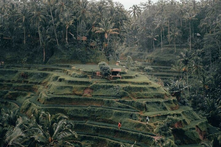 Besakih Temple & Kintamani Volcano Day Tour from Ubud — Culture, Rice Terraces & Lake Batur Views photo 5