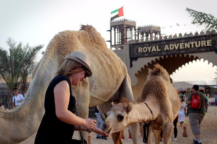 Dubai Evening Desert Safari with Quad Biking, BBQ & City Highlights photo 2