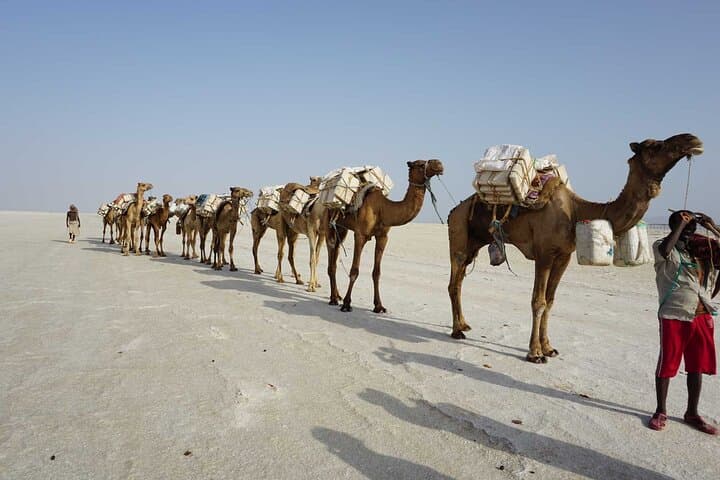 3-Day Danakil Depression Tour — Erta Ale, Dallol & Lake Afrera Adventure photo 6