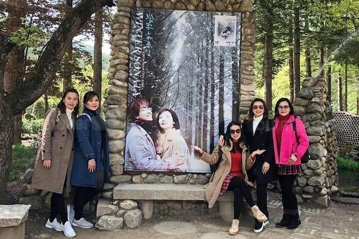 Private Nami Island Day Tour from Seoul — Garden of Morning Calm, Petite France & Rail Bike