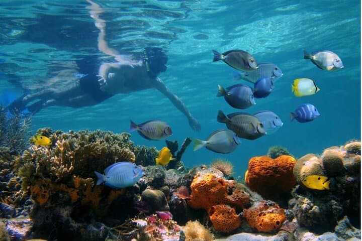 Negril Glass-Bottom Boat Tour: Snorkel Med Reef & Booby Cay photo 3