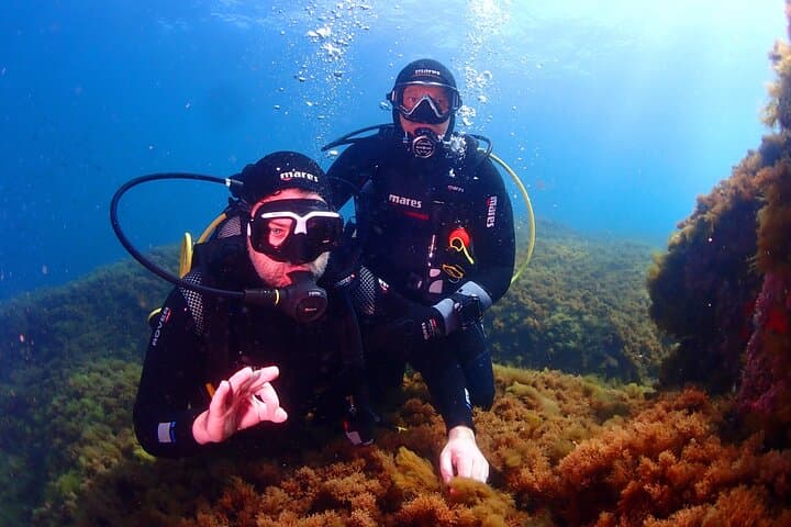 Private Scuba Baptism in the Gulf of Calvi: Beginner-Friendly Boat Dive