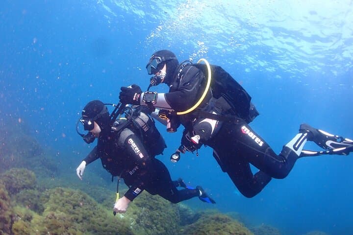 Private Scuba Baptism in the Gulf of Calvi: Beginner-Friendly Boat Dive photo 2