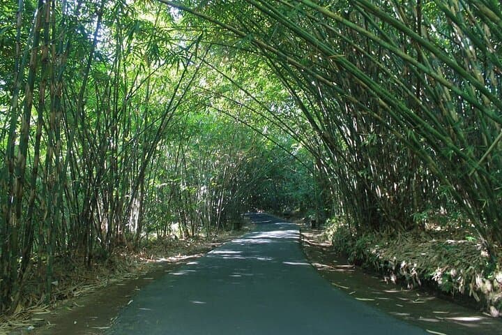 Private Penglipuran Village & Mt Batur View Day Tour from Ubud photo 4