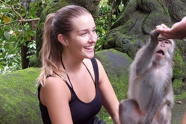 Full-Day Bali Tour: Mt. Batur Sunrise Views & Ubud Monkey Forest