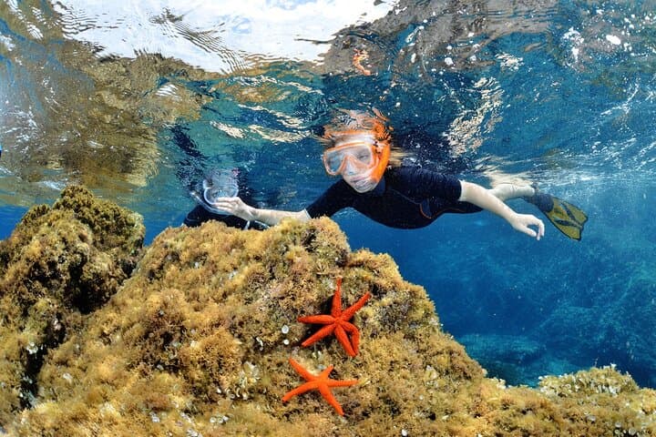 Boat Trip and Snorkeling in the Gulf of Calvi: Revellata Snorkel Excursion