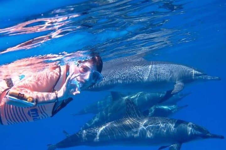 Hurghada Dolphin House Full-Day Swim and Snorkel Adventure photo 3