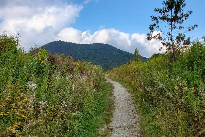 Privately Guided Full-Day Hike in the Blue Ridge Mountains photo 6