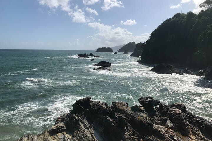Private Hike to Paria Waterfall — North Coast Hike from Blanchisseuse photo 4