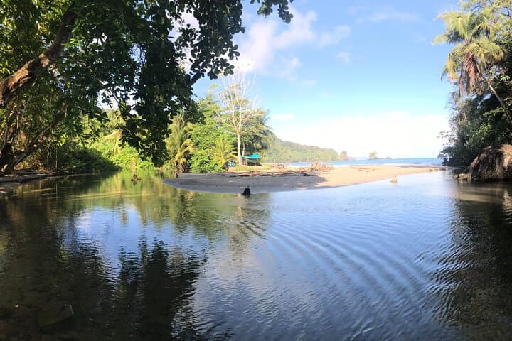 Private Hike to Paria Waterfall — North Coast Hike from Blanchisseuse photo 3