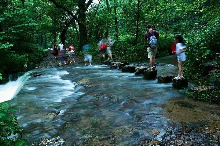 Hangzhou Jiuxi & Longjing Tea Village Day Hike by Bullet Train from Shanghai photo 2