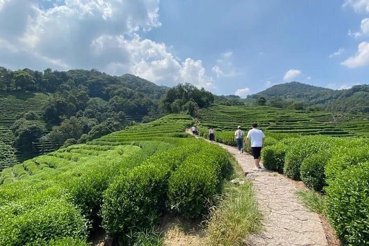 Hangzhou Jiuxi & Longjing Tea Village Day Hike by Bullet Train from Shanghai photo 3