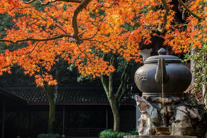 Hangzhou Jiuxi & Longjing Tea Village Day Hike by Bullet Train from Shanghai photo 4