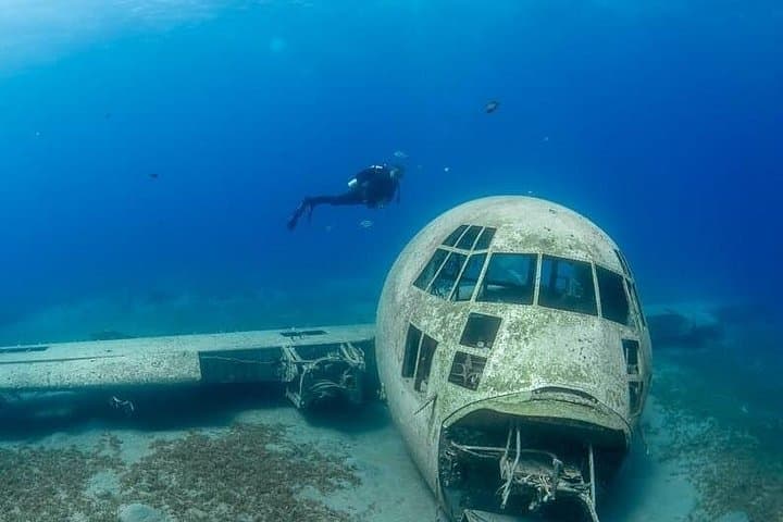 Red Sea Scuba Diving in Aqaba: Guided Dives with Hammerheads and Vibrant Reefs photo 3