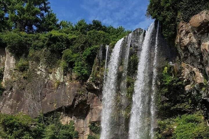 Private Jeju West & South Day Tour: Waterfalls, Coastal Cliffs & Tea Fields photo 4