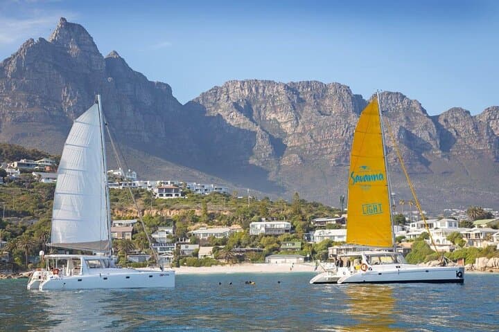 Cape Town Catamaran Cruise: V&A Waterfront to Robben Island & Table Mountain Views
