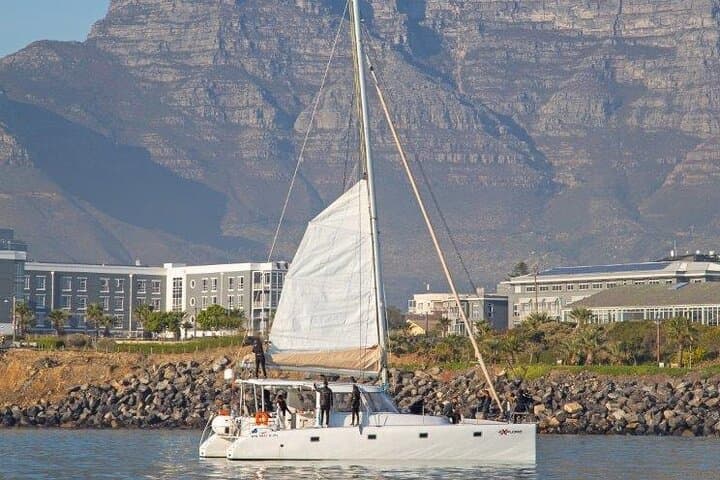 Cape Town Catamaran Cruise: V&A Waterfront to Robben Island & Table Mountain Views photo 6