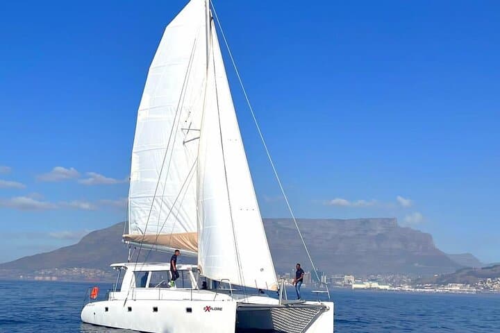 Cape Town Catamaran Cruise: V&A Waterfront to Robben Island & Table Mountain Views photo 3