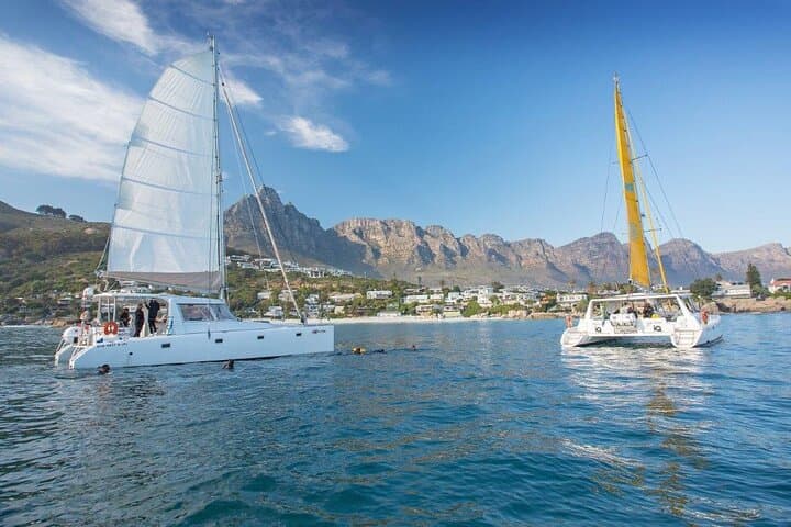 Cape Town Catamaran Cruise: V&A Waterfront to Robben Island & Table Mountain Views photo 4