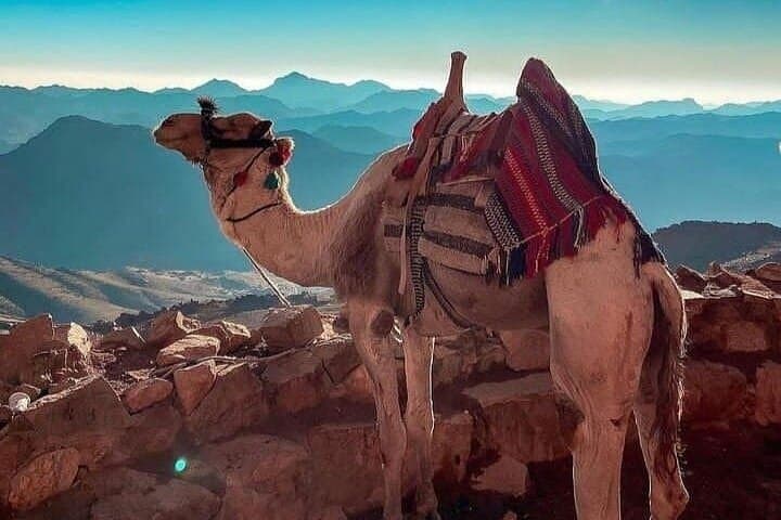 Mount Sinai Sunrise Hike & St. Catherine Monastery Tour from Sharm El Sheikh photo 3