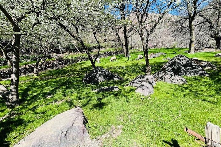 Atlas Mountains Day Trip from Marrakech: Imlil Valley, Waterfalls & Camel Ride photo 3
