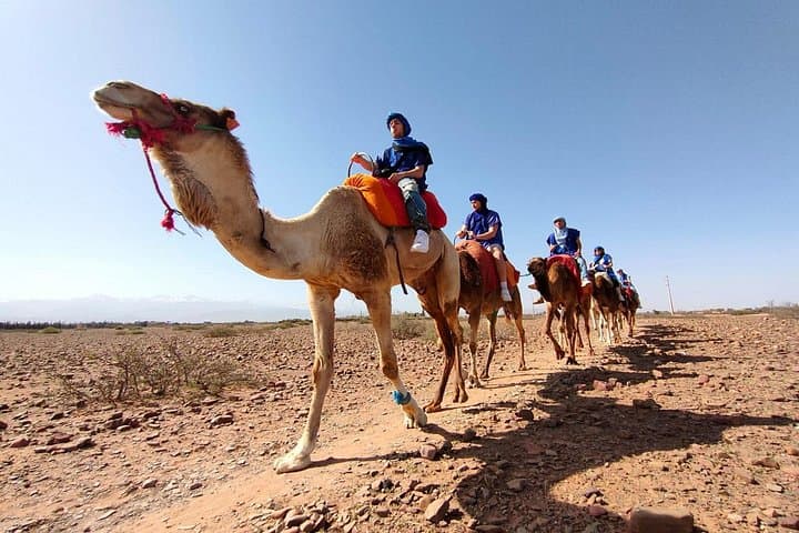 Atlas Mountains Day Trip from Marrakech: Imlil Valley Hike & Berber Village Lunch photo 1