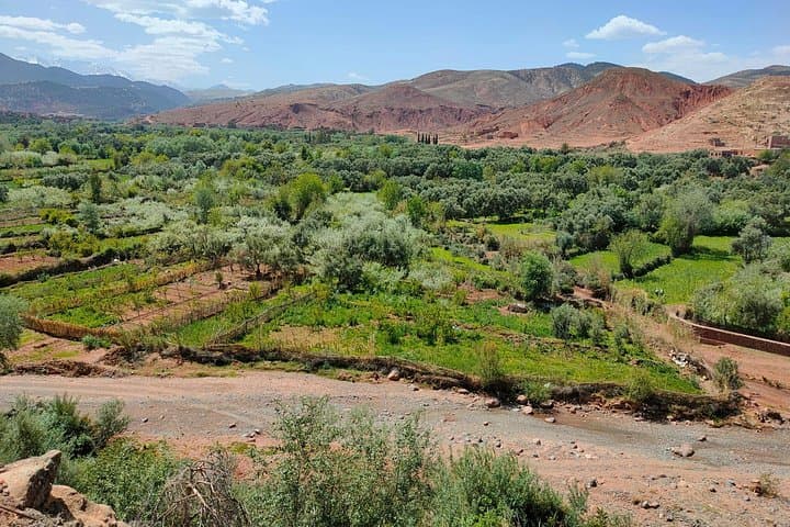 Atlas Mountains Day Trip: Camel Ride, Imlil Hike & Berber Village Experience