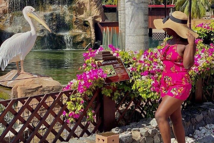 Aqua Safari Getaway: Volta River Cruise, Crocodile Island & Eco-Resort Day Trip photo 4